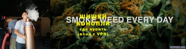 СК Пересвет