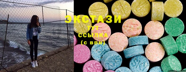 СК Пересвет