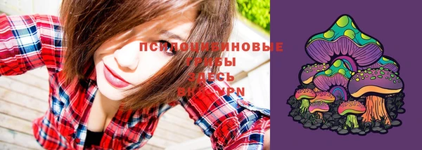 СК Пересвет