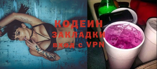СК Пересвет