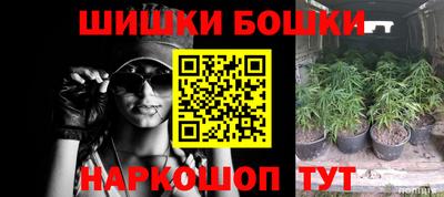 стаф Будённовск