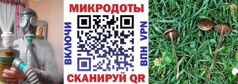 магазин    blacksprut онион  Галлюциногенные грибы Magic Shrooms  Грязи 