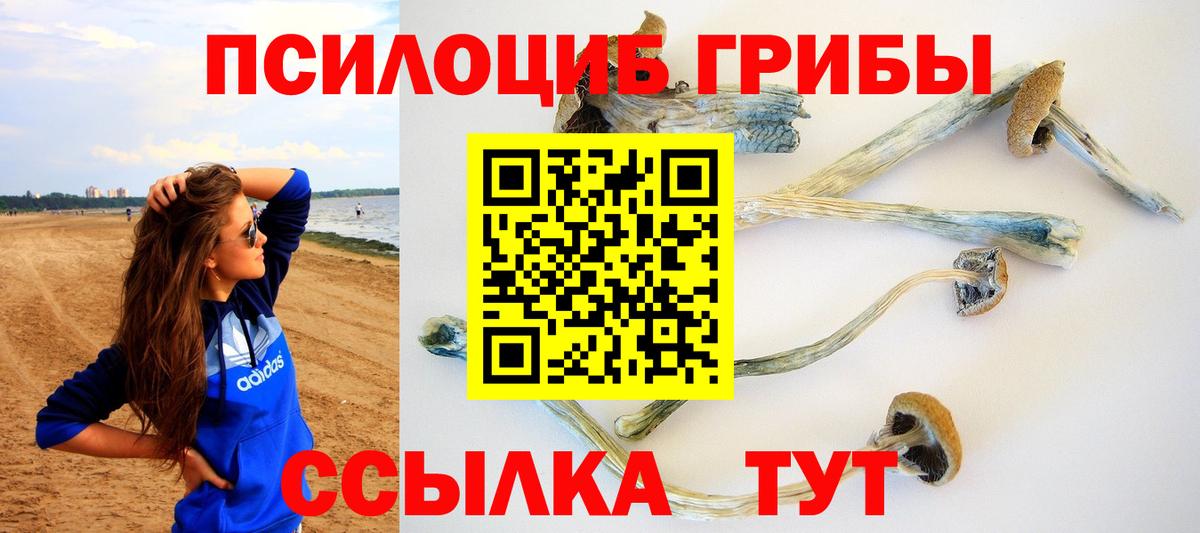 Гашиш  Бошки Шишки  Лсд 25  Меф   Экстази  Вход с VPN  Грязи  ГАШ 