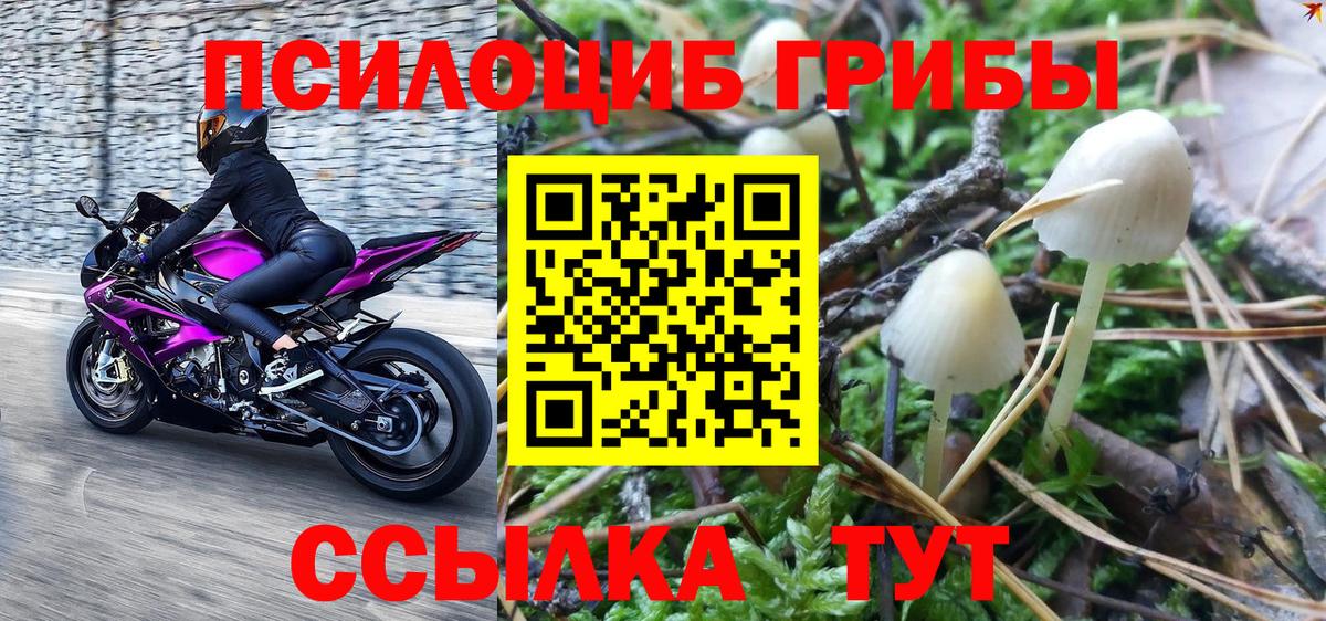 Псилоцибиновые грибы мухоморы  Галлюциногенные грибы Psilocybe  Грязи 